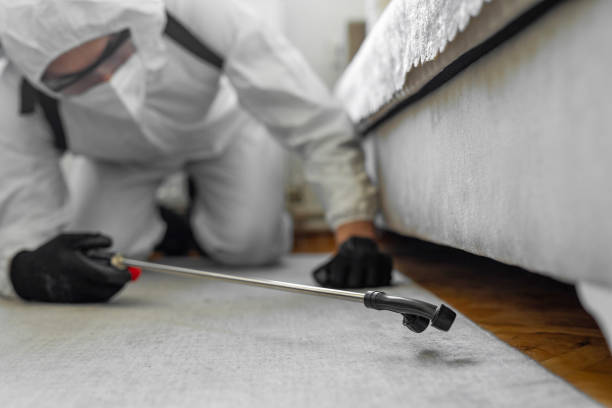 Professional Termite Control technician working in Elroy, NC