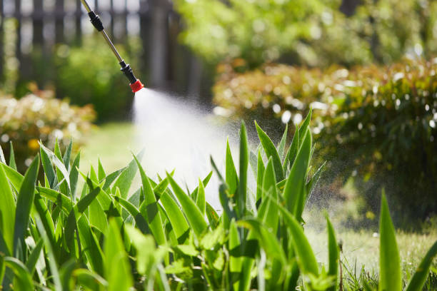 24/7 Emergency Termite Control experts in Elroy, NC