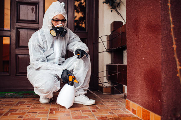 Reliable Termite Control contractor in Elroy, NC by Nex Pest Control